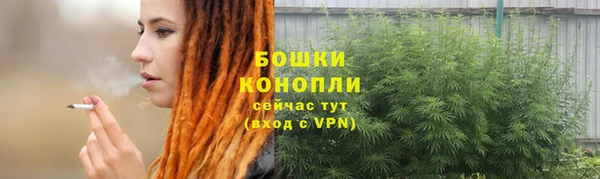 стаф Няндома