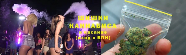 молекула духа Новодвинск