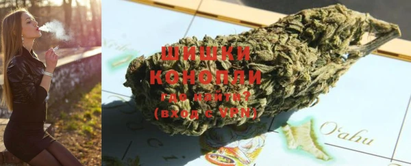 молекула духа Новодвинск