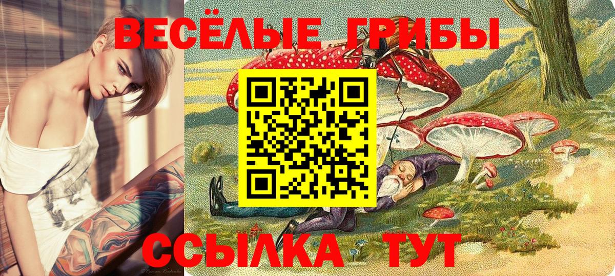 Галлюциногенные грибы GOLDEN TEACHER  что такое   Галлюциногенные грибы Psilocybe  Кумертау  Вход с VPN 